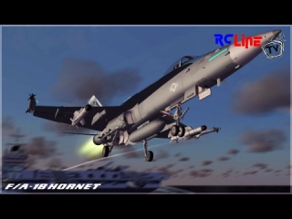 DANACH >: Boeing/McD F/A-18 Hornet