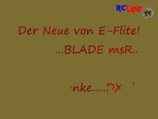 DANACH >: Blade msR...die Stubenfliege...