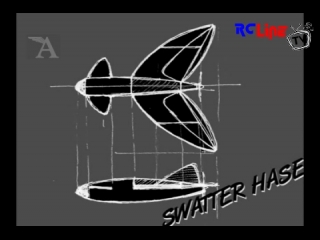 DANACH >: Modell AVIATOR: Downloadplan Swatter Hase