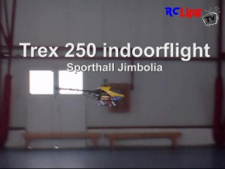 DANACH >: Indoorflug Trex 250 Frank Eberlein in Jimbolia