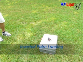 < DAVOR: My first palm landing